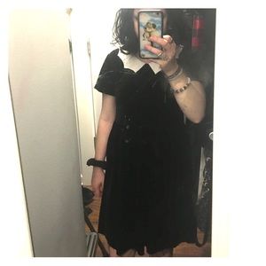 ash costello bat collar velvet dress